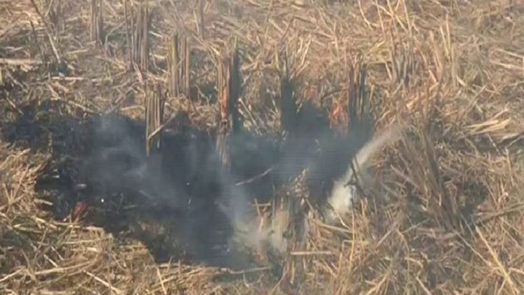 പഞ്ചാബിൽ വൈക്കോൽ കത്തിക്കുന്നത്​ തുടരുന്നു